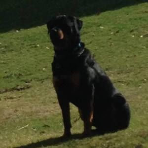 Meet your Posher, Maureen